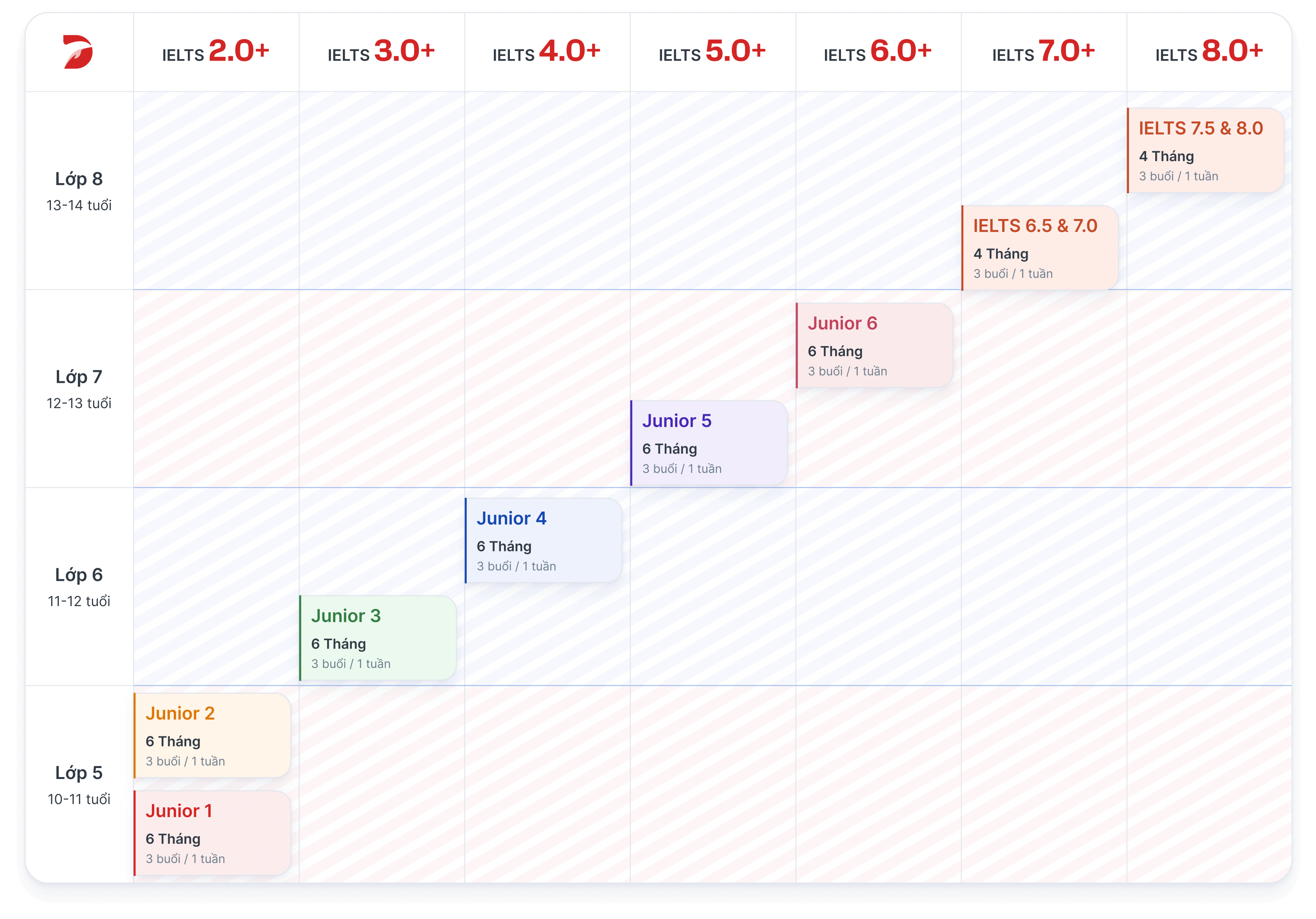 ielts-junior-roadmap-desktop