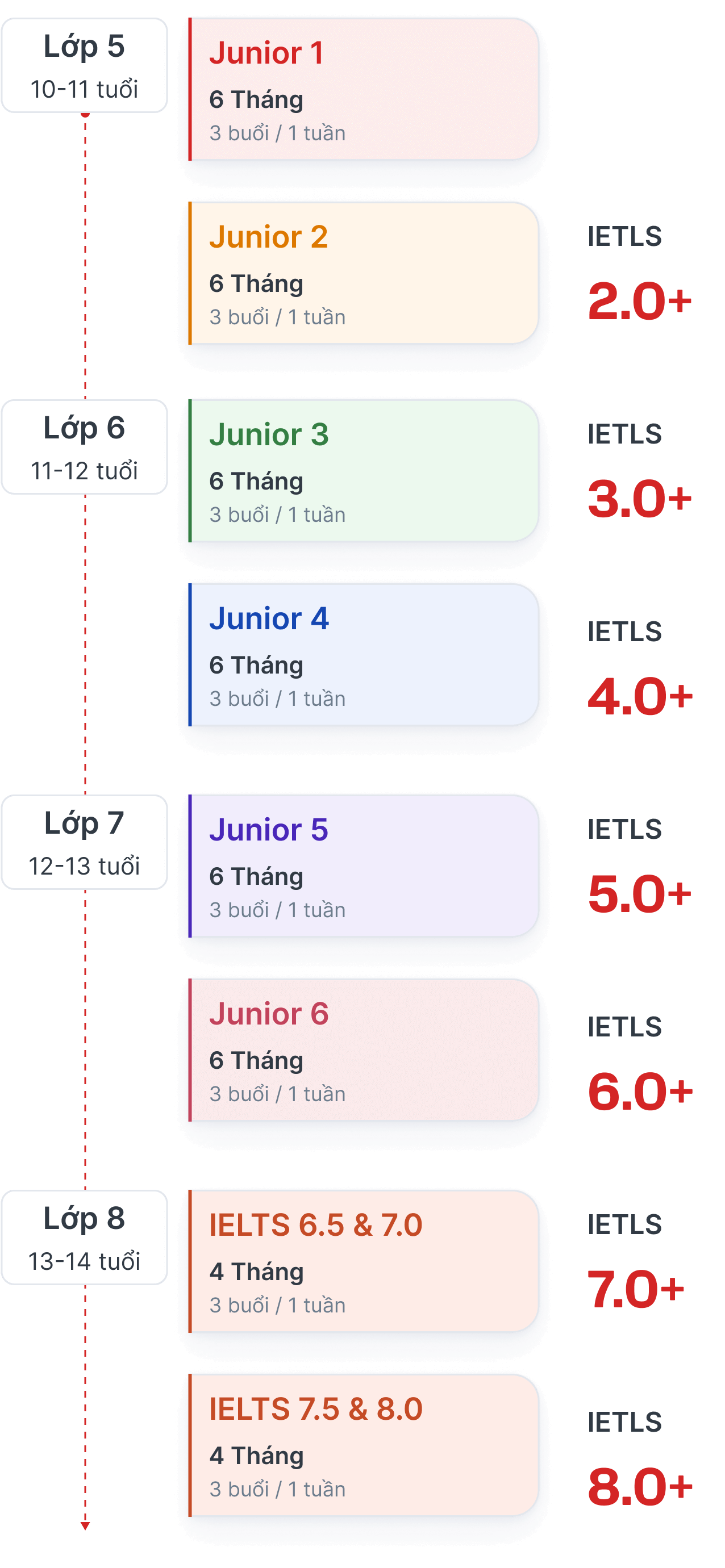 ielts-junior-roadmap-mobile