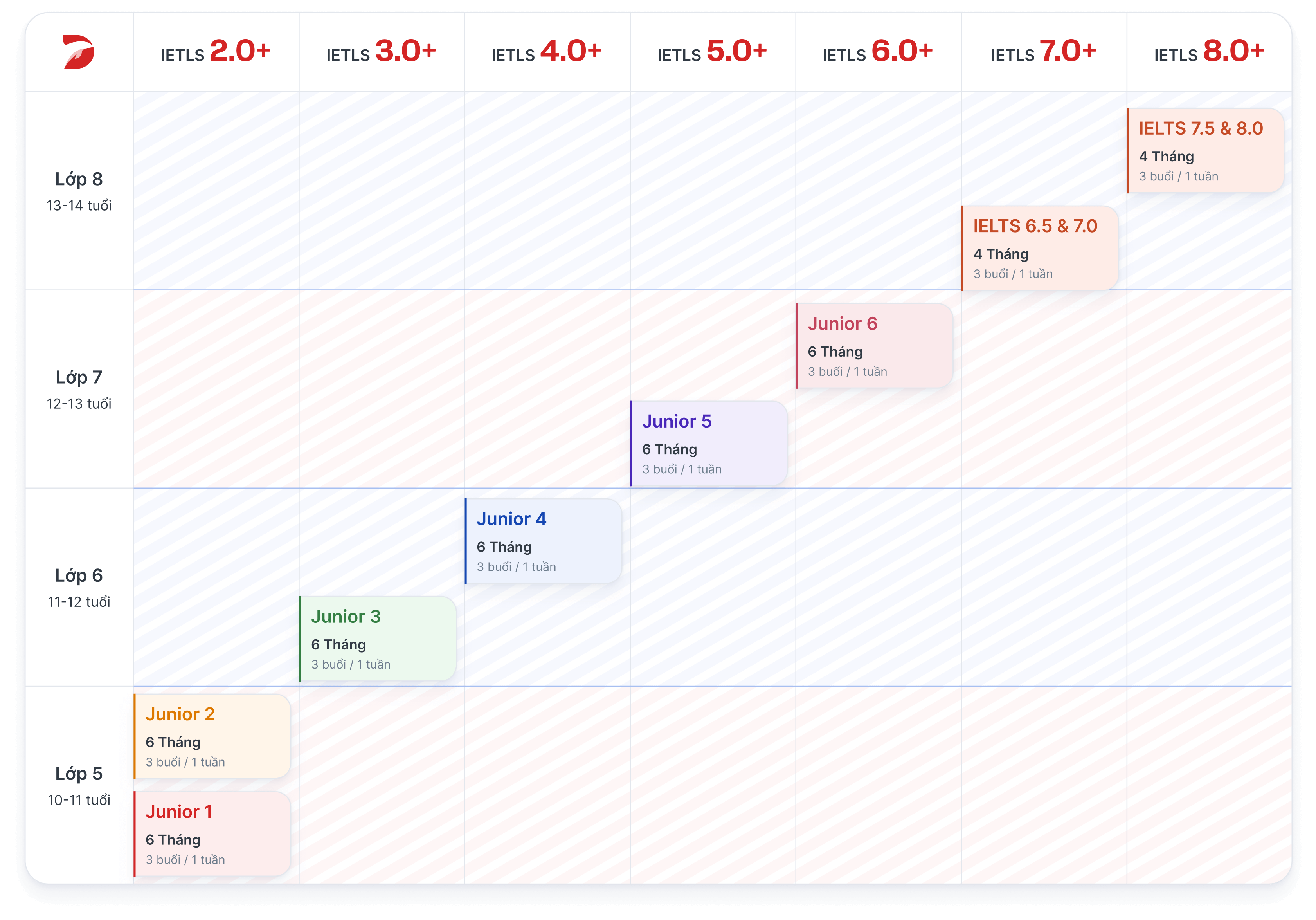 ielts-junior-roadmap-desktop